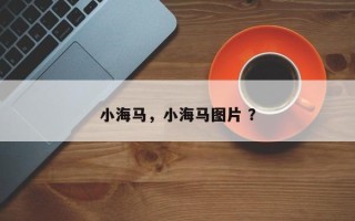 小海马，小海马图片 ？