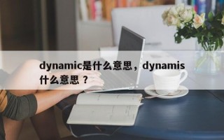 dynamic是什么意思，dynamis什么意思 ？