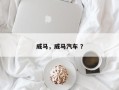 威马，威马汽车 ？