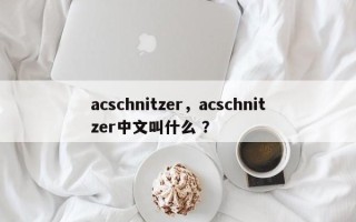 acschnitzer，acschnitzer中文叫什么 ？