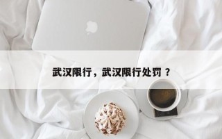 武汉限行，武汉限行处罚 ？