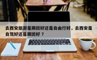 去西安旅游是跟团好还是自由行好，去西安是自驾好还是跟团好 ？