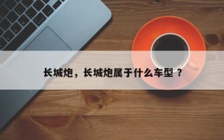 长城炮，长城炮属于什么车型 ？