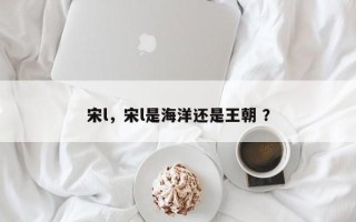 宋l，宋l是海洋还是王朝 ？